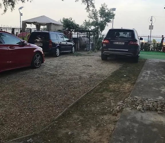 Mimoza 艾福雷诺德