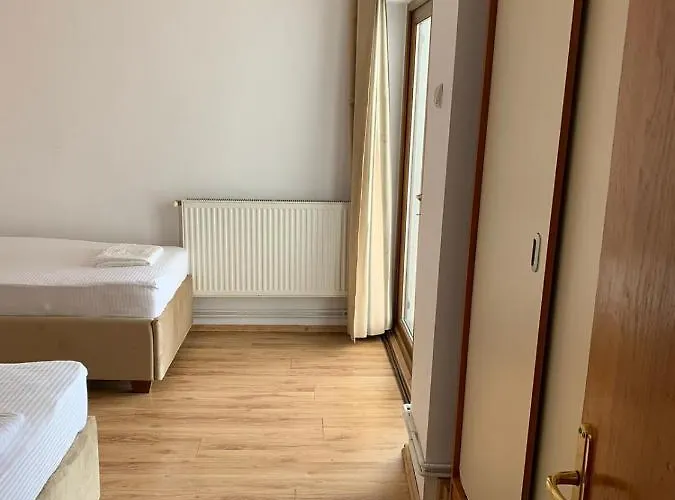 Mimoza 艾福雷诺德